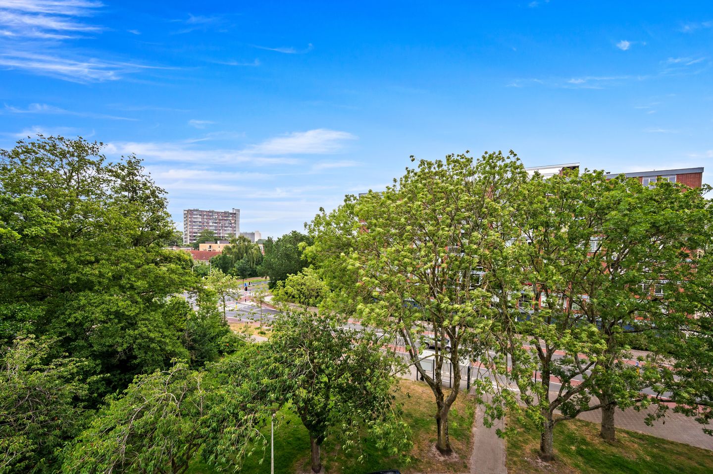 Foto 14 van Smaragdhorst 525