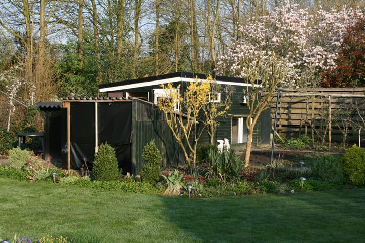 Foto 5 van Dalkampen 4