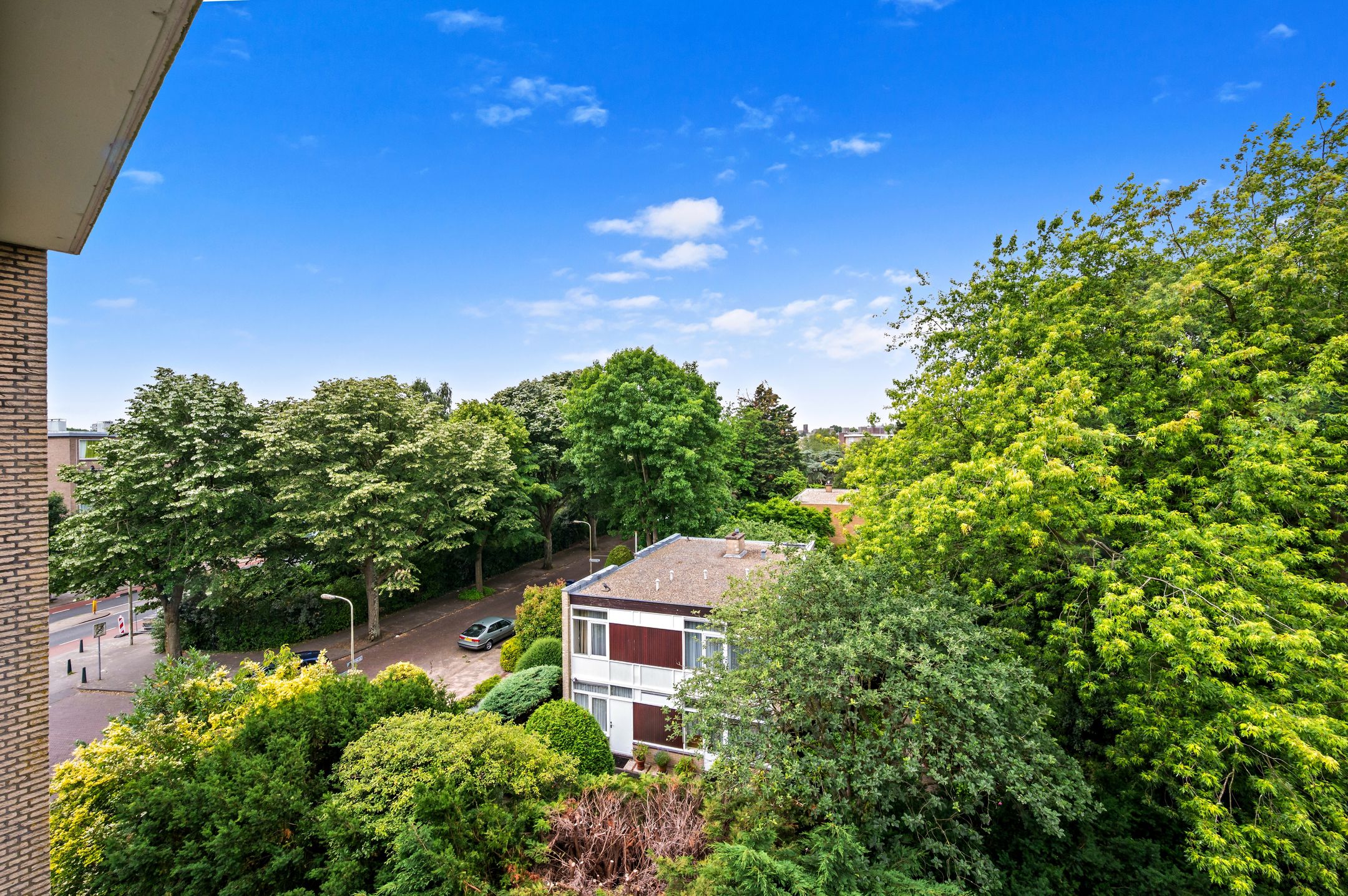 Foto 33 van Smaragdhorst 525