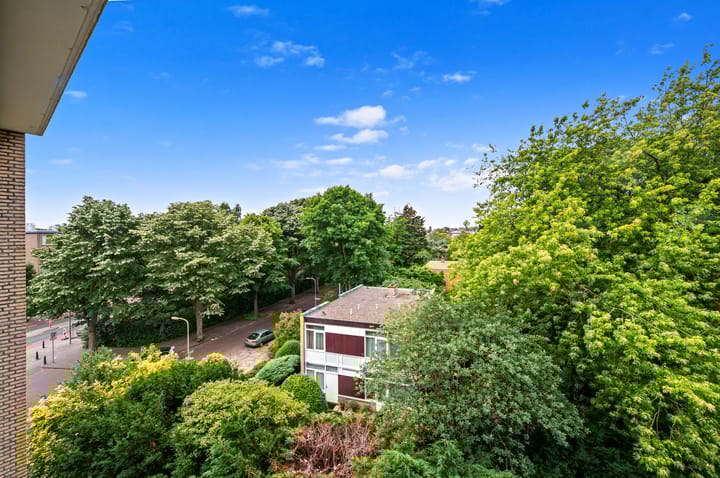 Foto 33 van Smaragdhorst 525