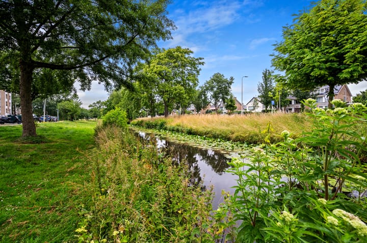 Foto 41 van Smaragdhorst 525