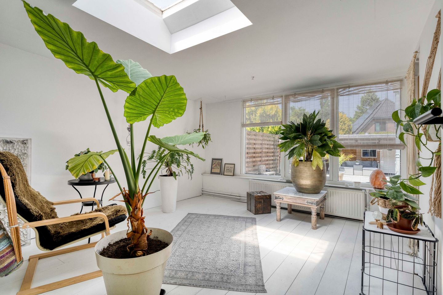 Foto 10 van Zwanebloem 27