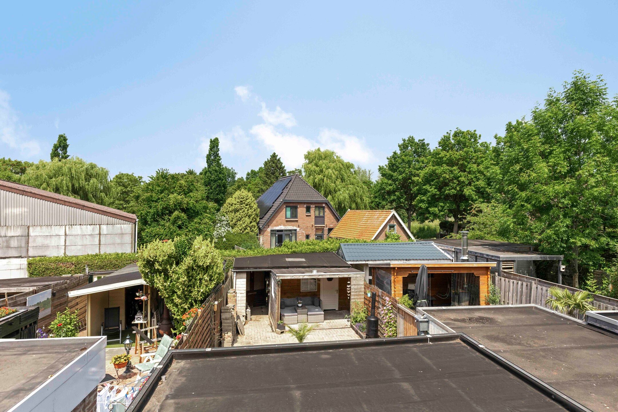 Foto 27 van Zwanebloem 27