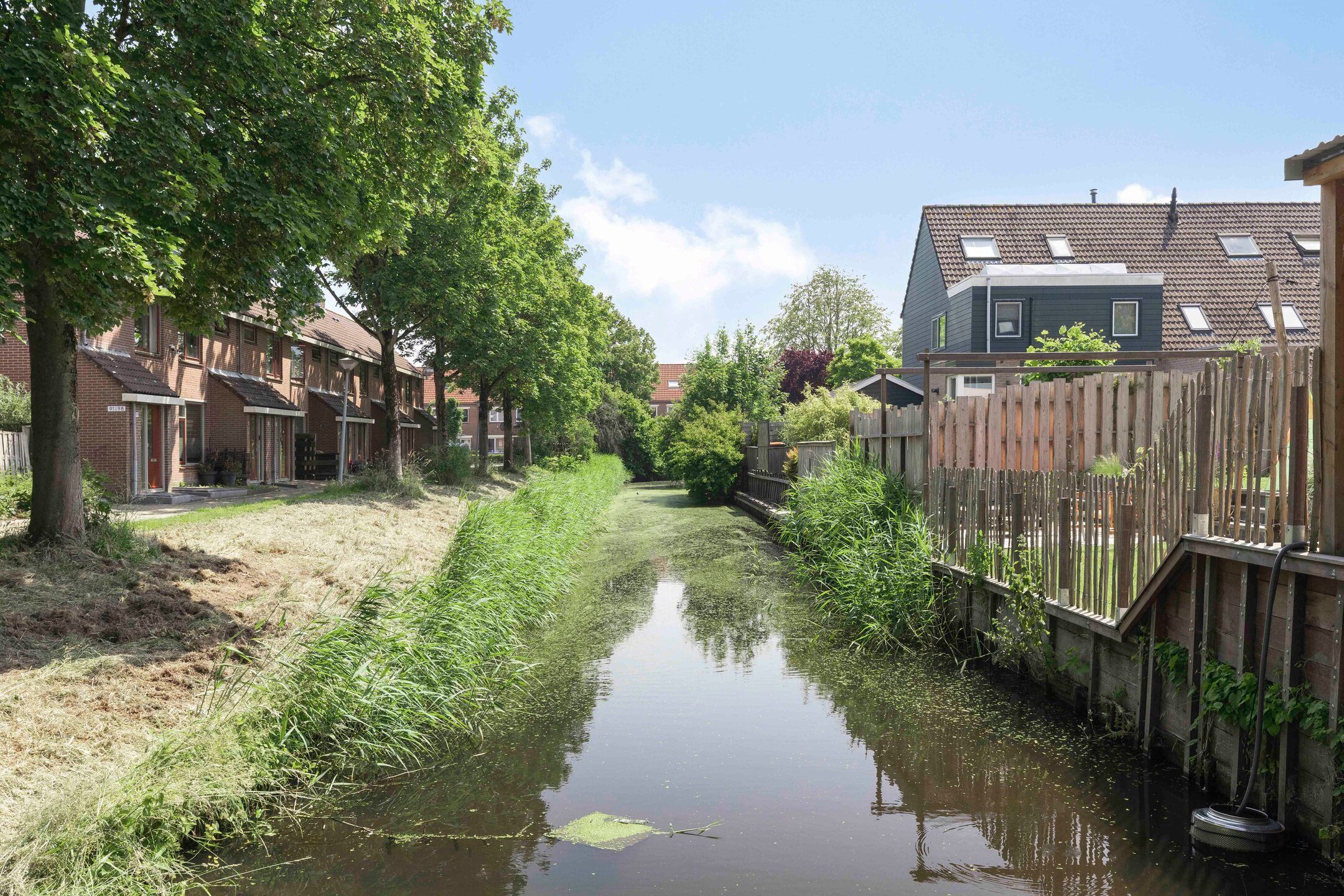 Foto 33 van Zwanebloem 27