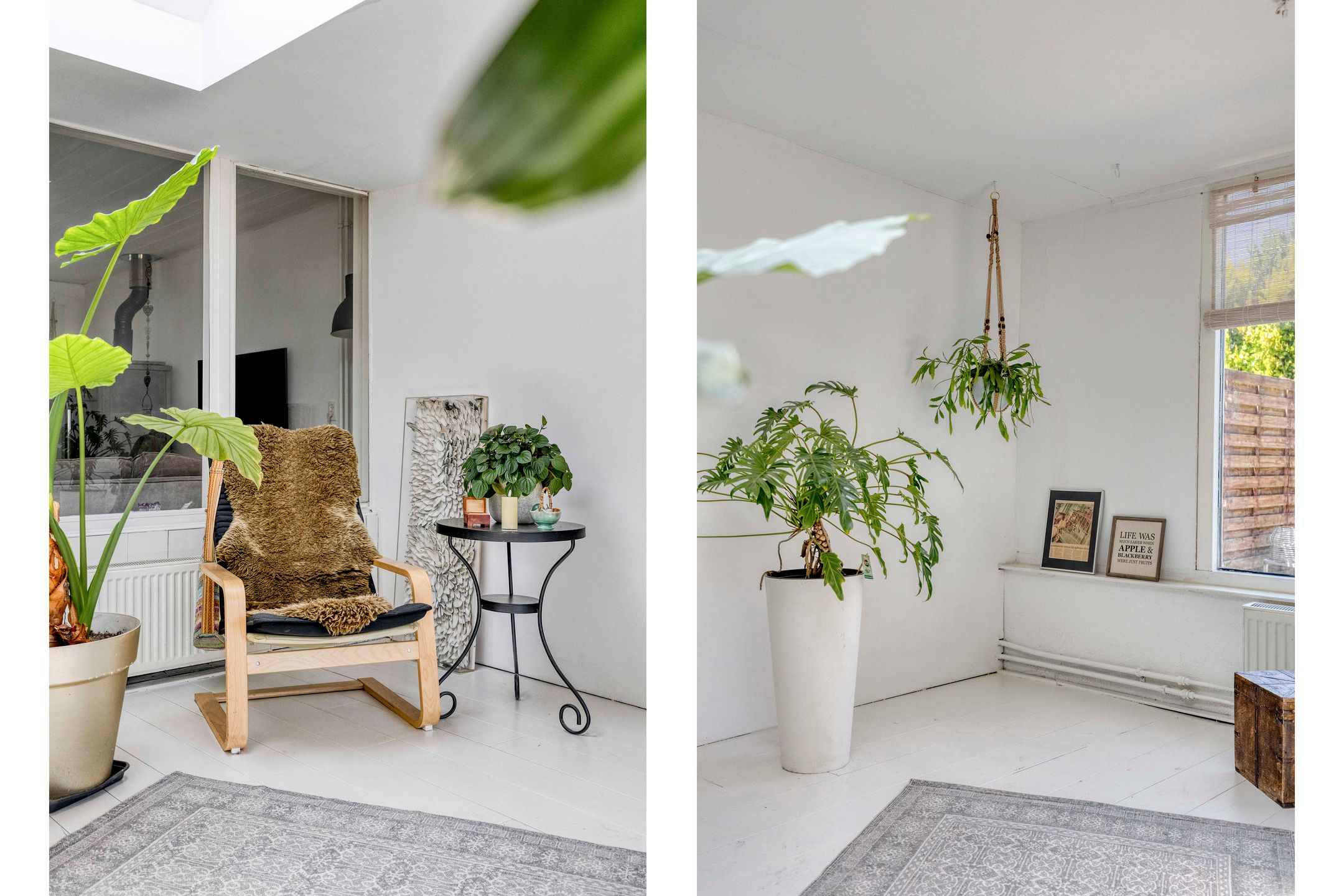 Foto 12 van Zwanebloem 27