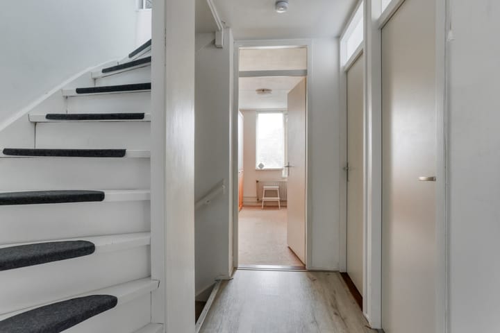 Foto 7 van Delfland 6