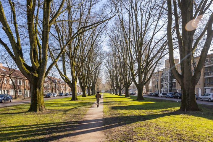 Foto 29 van Prins Bernhardlaan 3