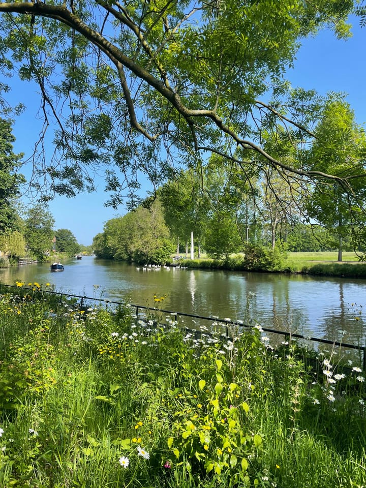 Foto 32 van Prins Bernhardlaan 3