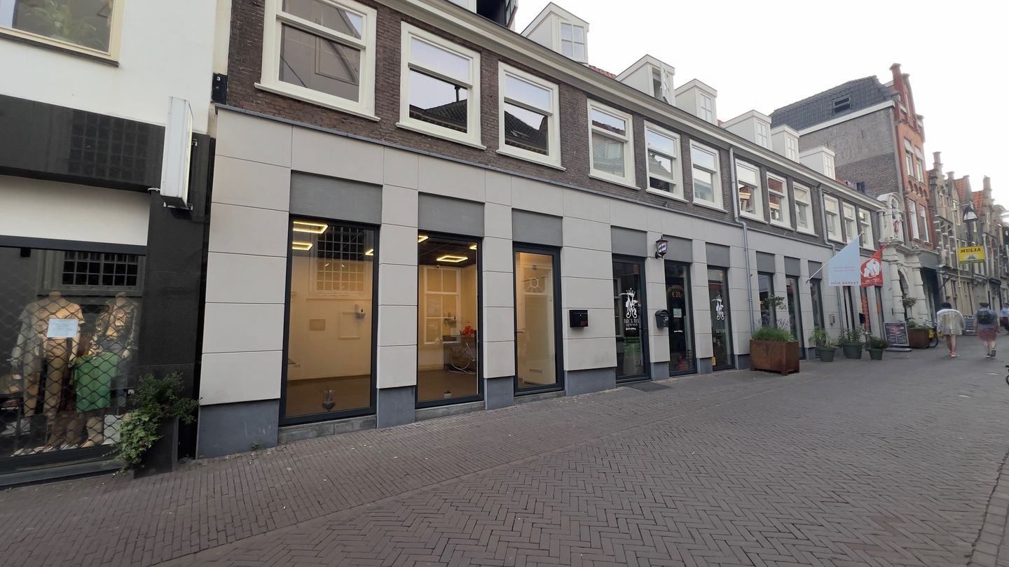 View photo 2 of Vriesestraat 21-A