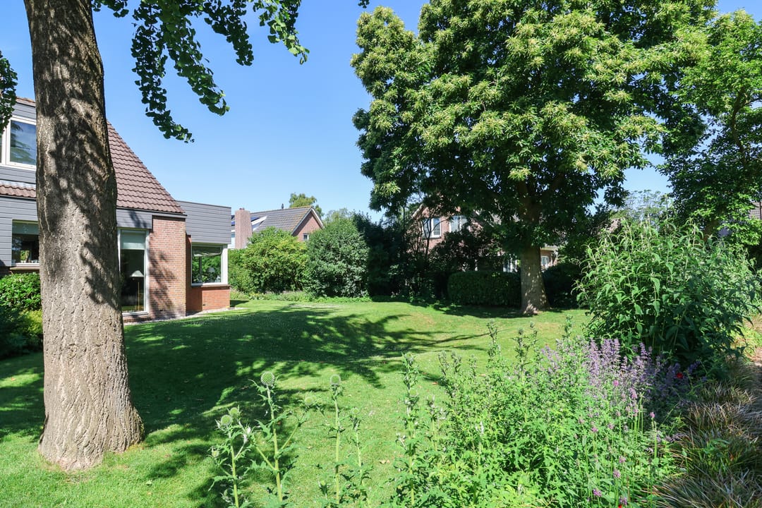 Foto 11 van Ir. Dirk Asjesloane 9