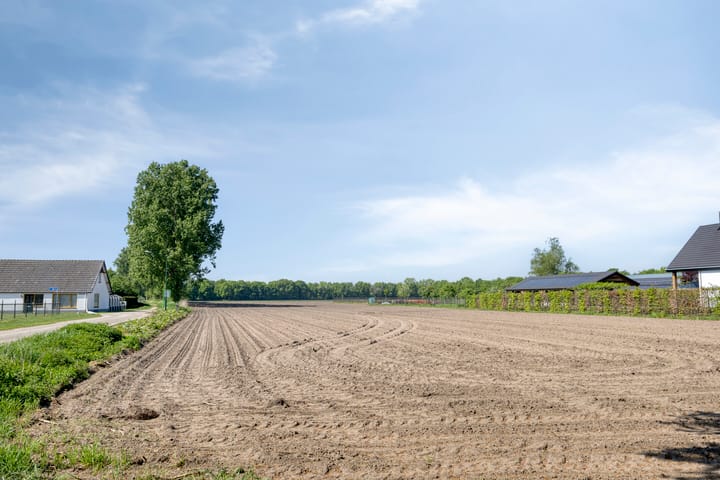 Foto 47 van Weijen 67