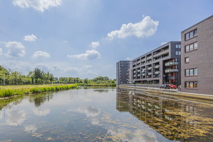 Foto 33 van Waterweegbree 29