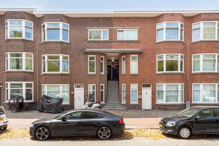 Photo 19 of Zuiderparklaan 491