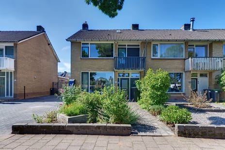 undefined main image