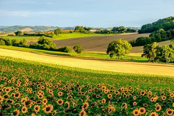 Foto 26 van Midi-Pyrénées