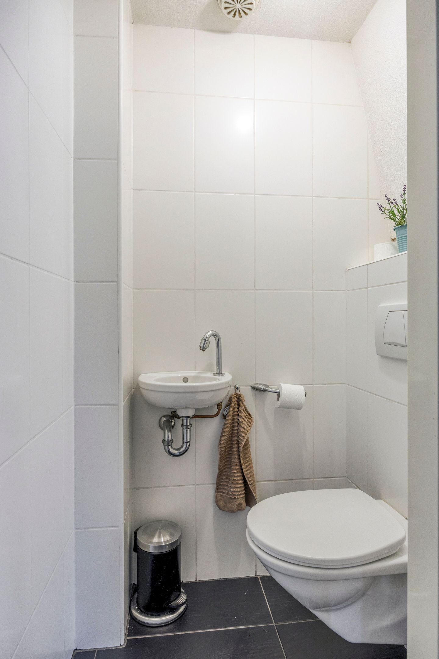 Foto 9 van Schaepmanlaan 36