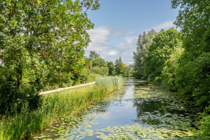 Photo 40 of Snoeksloot 114