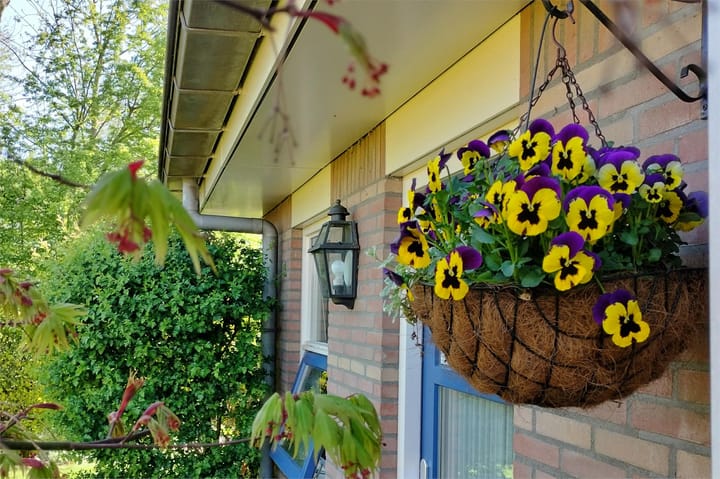 Foto 4 van Lopikerweg 48-B