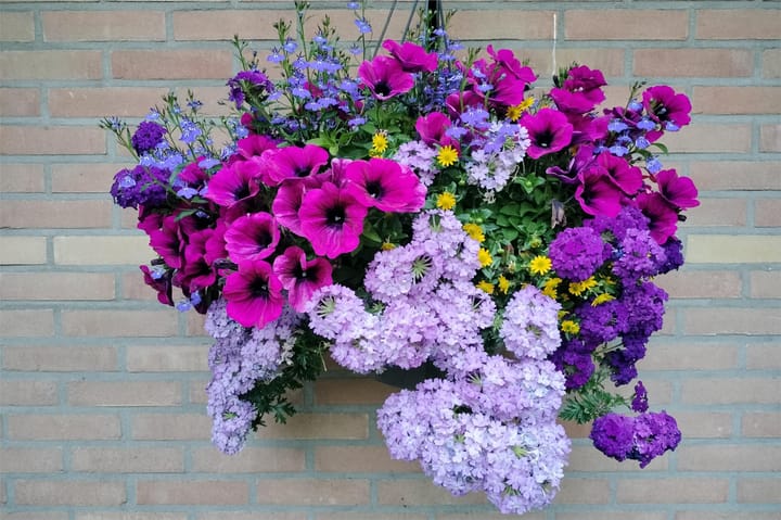 Foto 48 van Lopikerweg 48-B