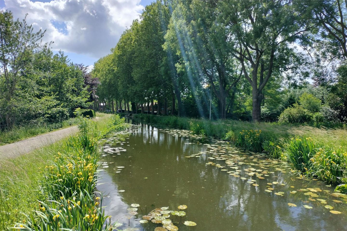 Foto 55 van Lopikerweg 48-B