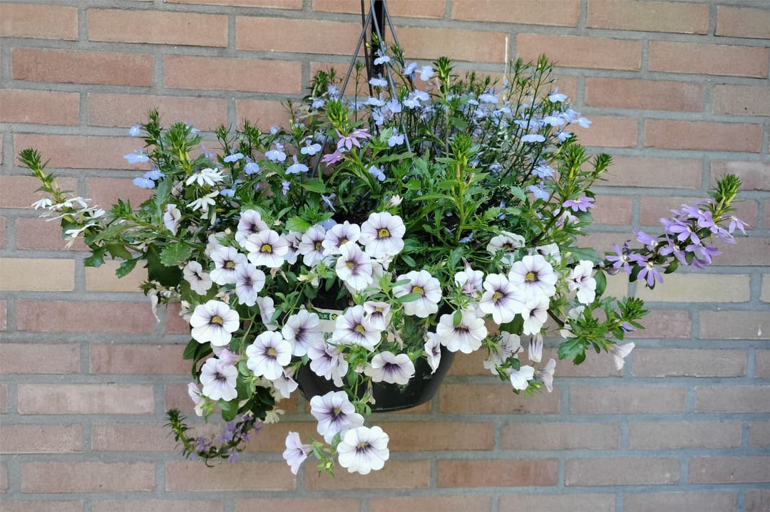 Foto 56 van Lopikerweg 48-B