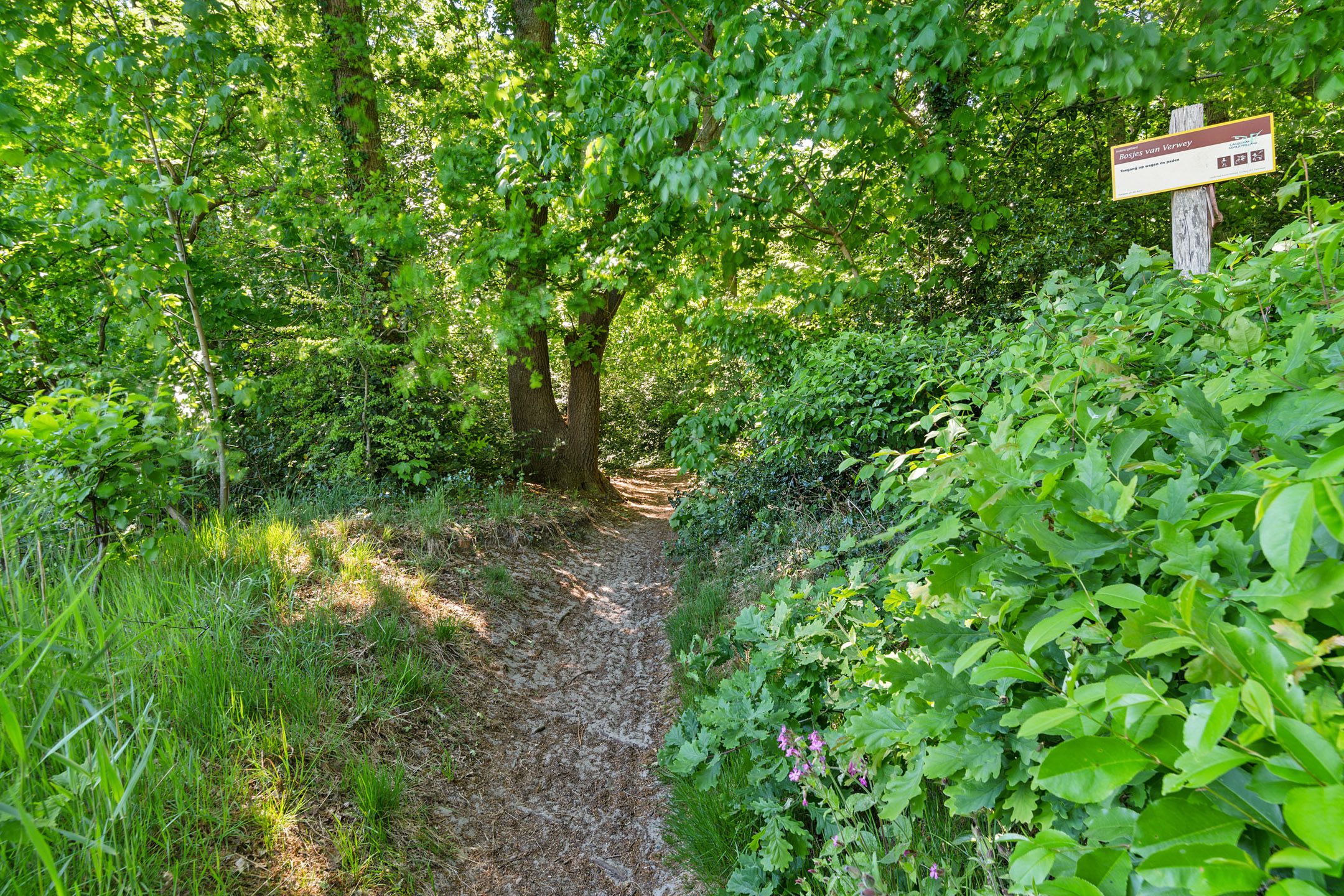 Foto 48 van Laanweg 61