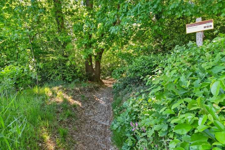 Photo 48 of Laanweg 61