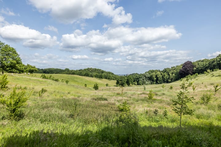 Foto 43 van Imstenrade 2