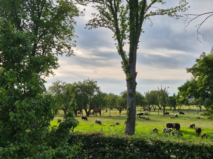 Foto 44 van Haarweg 1-E