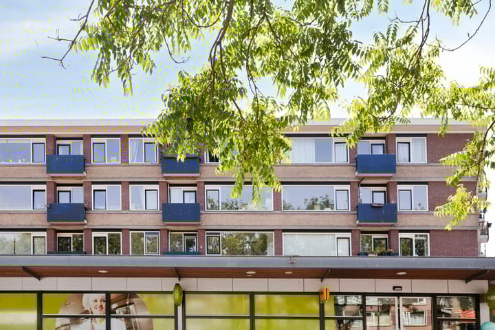 Foto 1 van Smaragdplein 183