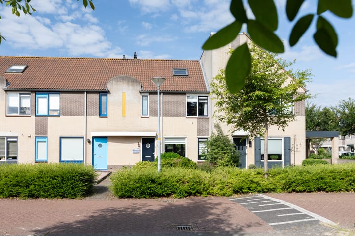 undefined main image
