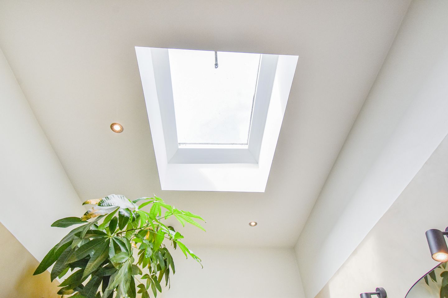 Foto 44 van Daguerrestraat 110