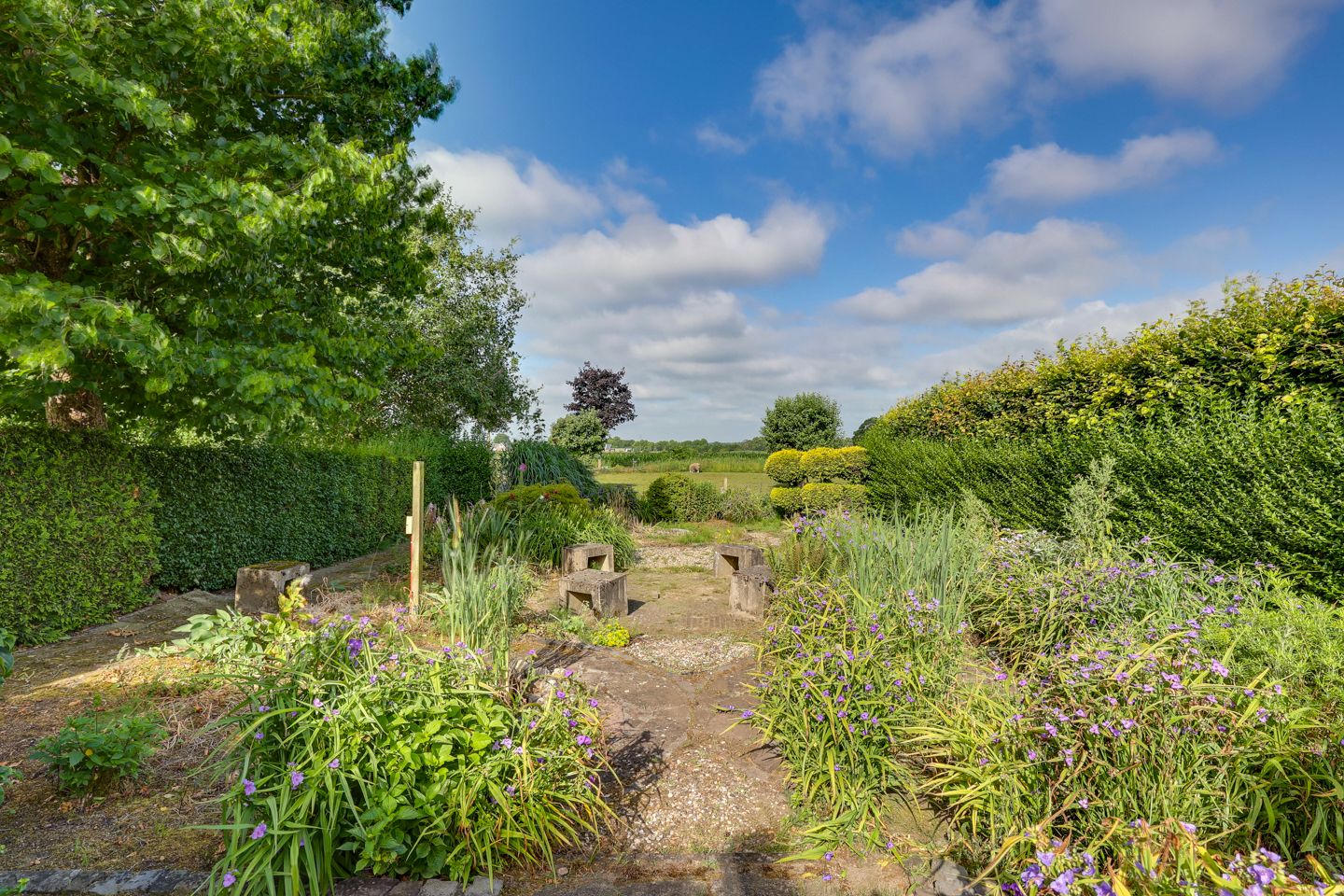 Foto 42 van Pastoor Petersstraat 30