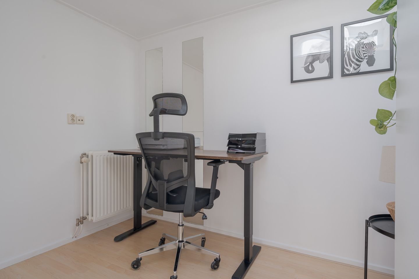 Photo 35 of Eerste Weidjesstraat 3