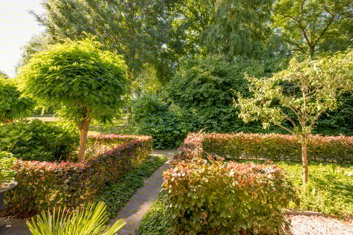 Foto 6 van Regentessepad 2