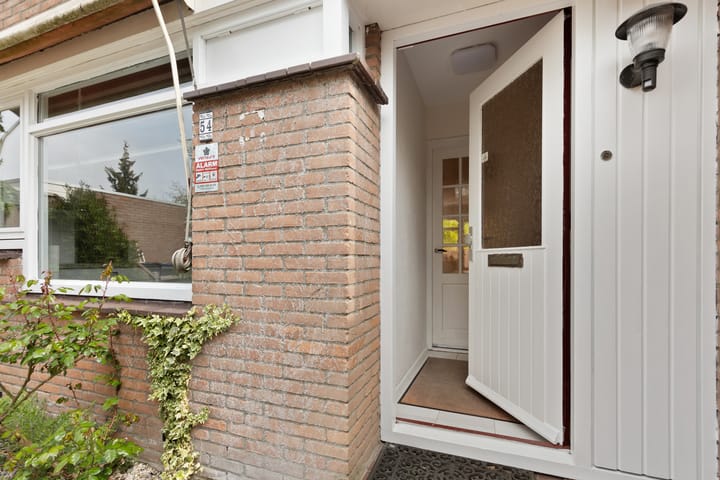 Foto 6 van Schapenmeent 54