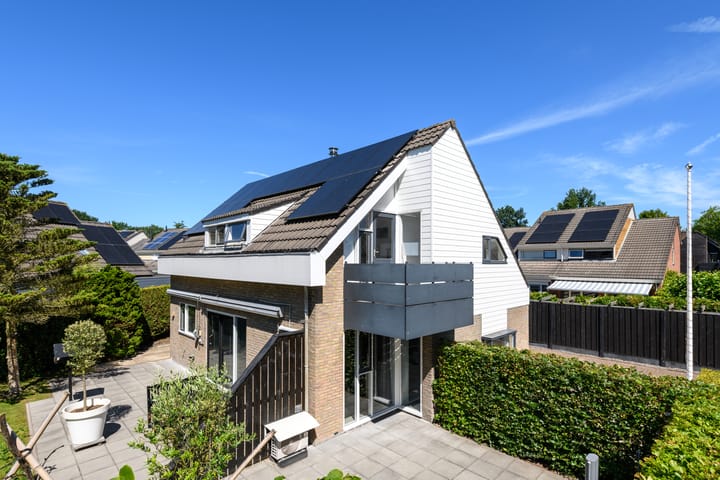 Foto 4 van De Twee Gebroeders 52