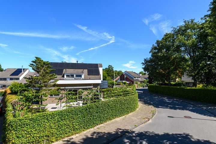 Foto 7 van De Twee Gebroeders 52