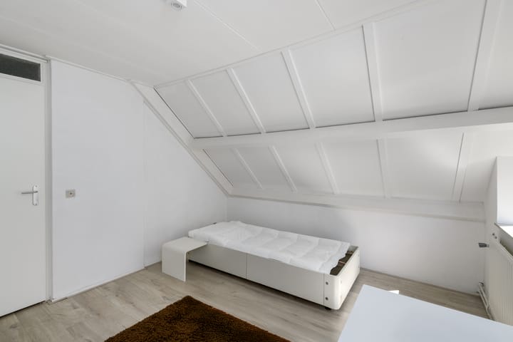 Foto 28 van De Twee Gebroeders 52