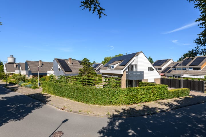 Foto 48 van De Twee Gebroeders 52