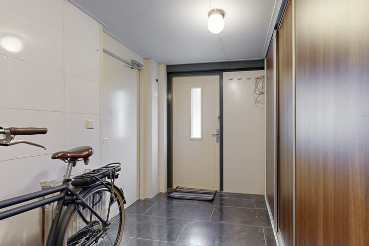 Foto 23 van Nachtorchis 13