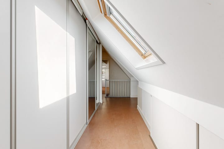 Foto 39 van Nachtorchis 13