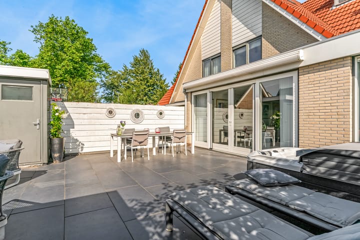 Foto 49 van Nachtorchis 13