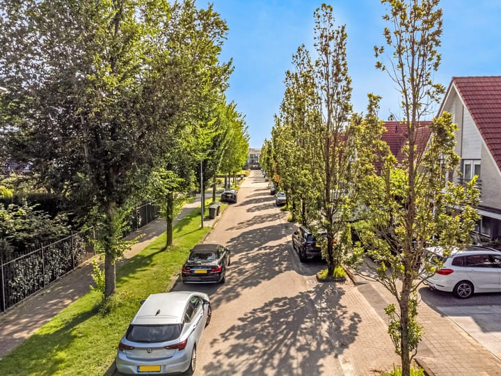 Foto 54 van Nachtorchis 13