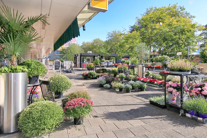 Foto 43 van Oleanderlaan 50