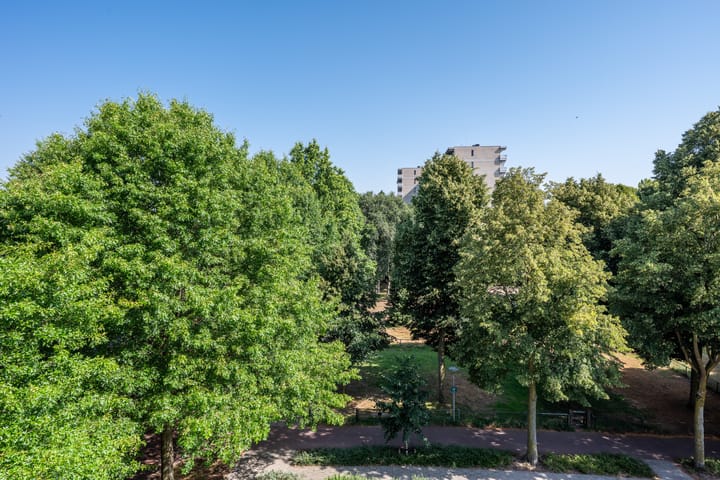 Foto 21 van de Koppele 85