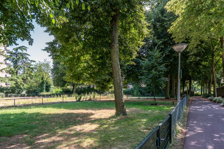 Foto 45 van de Koppele 85