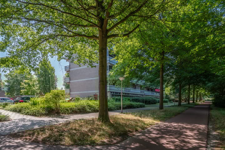 Foto 46 van de Koppele 85