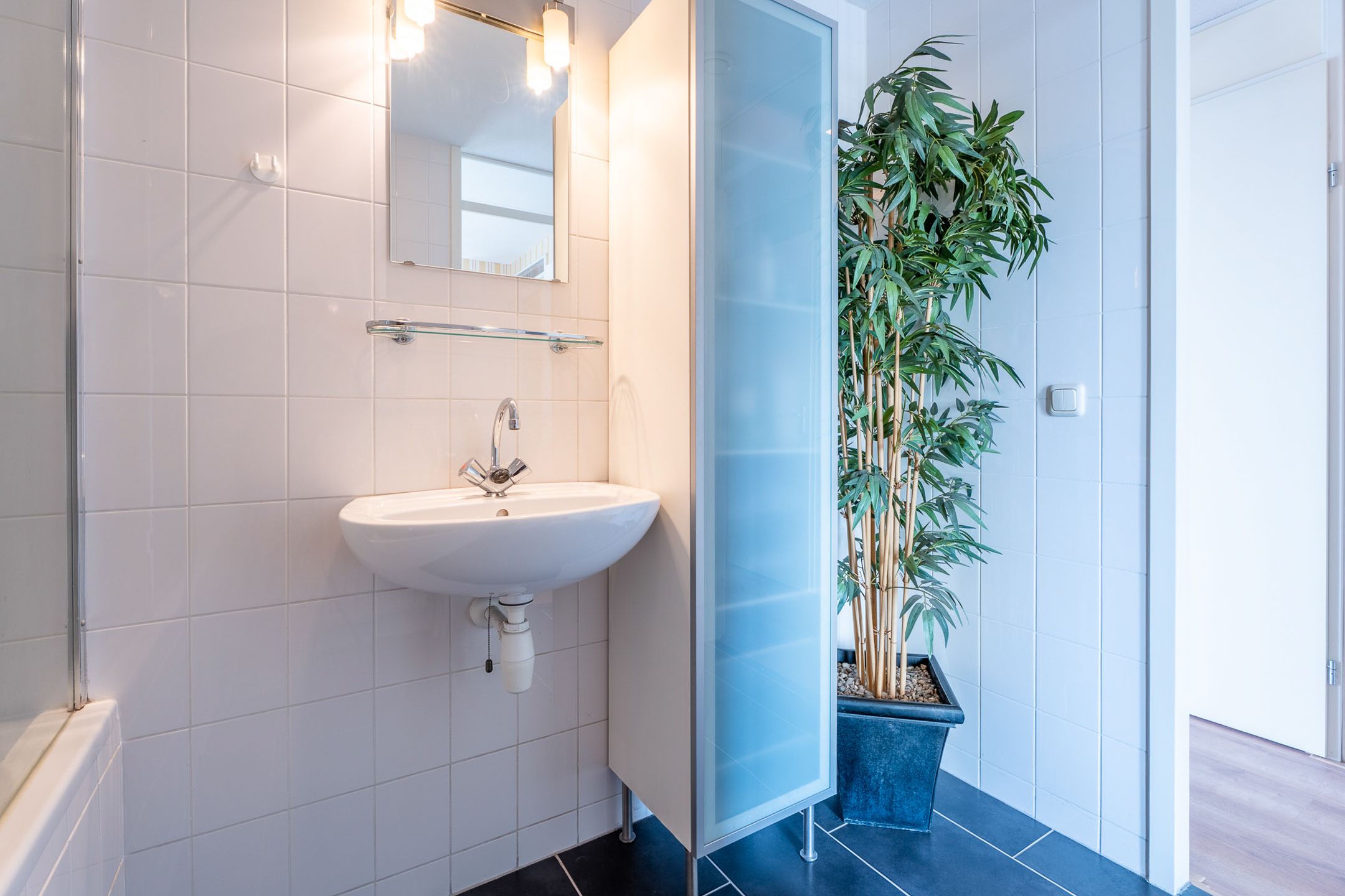 Foto 18 van Julianapark 84