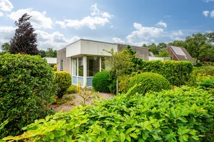 Foto 5 van Tormentil 49